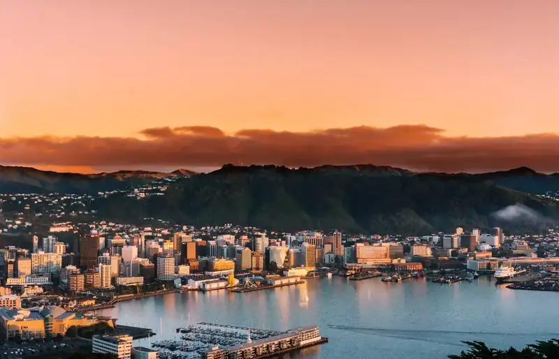 Сеть Biophilic Cities
